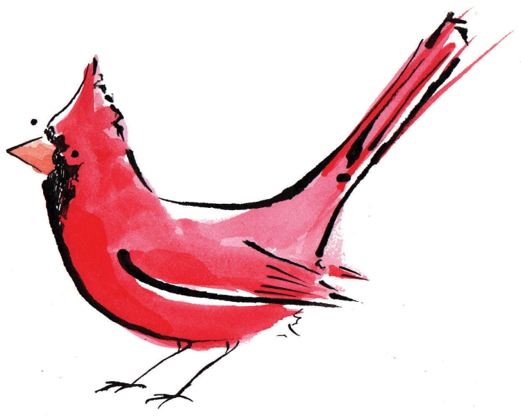 Большая птица с красными щеками