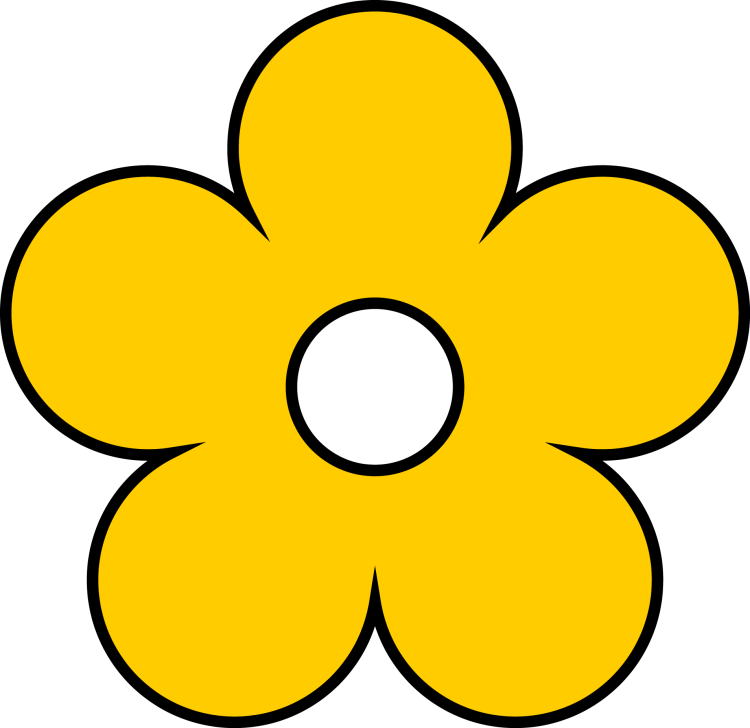 Желто белые цветы