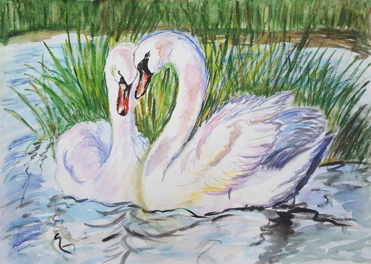 Рисование лебедя