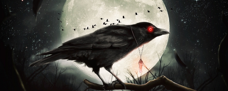 Черная птица с красными глазами