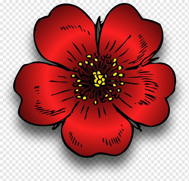 Цветок с красными цветами