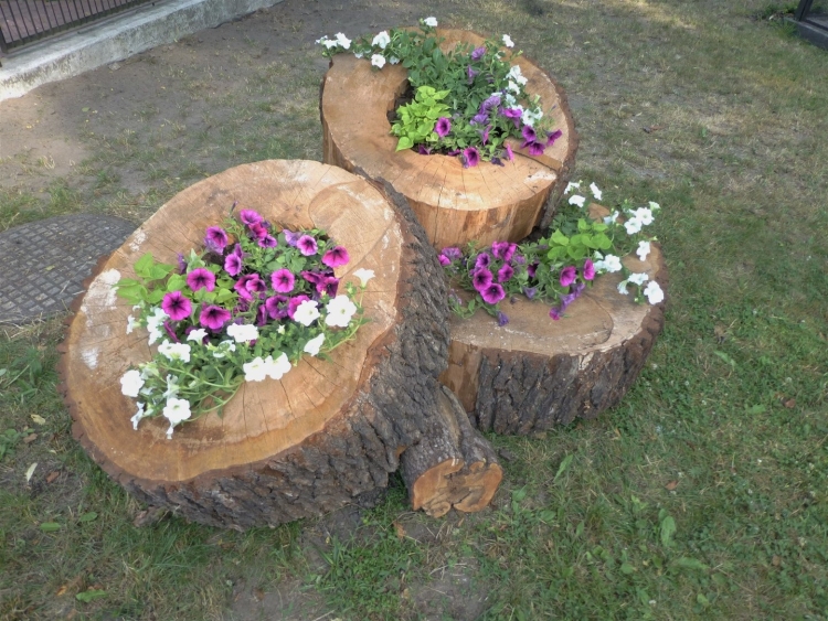 Клумба из спилов