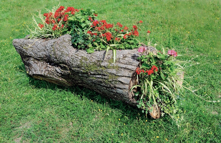 Клумба из бревна