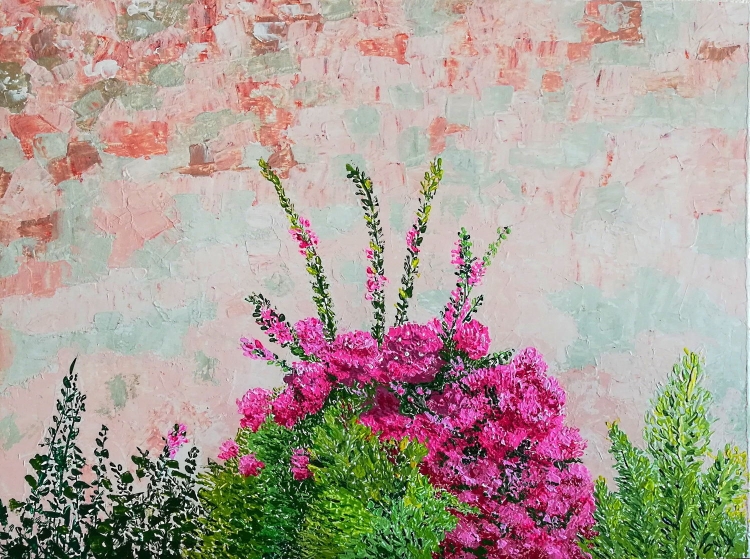Пушистый кустарник с розовыми цветами