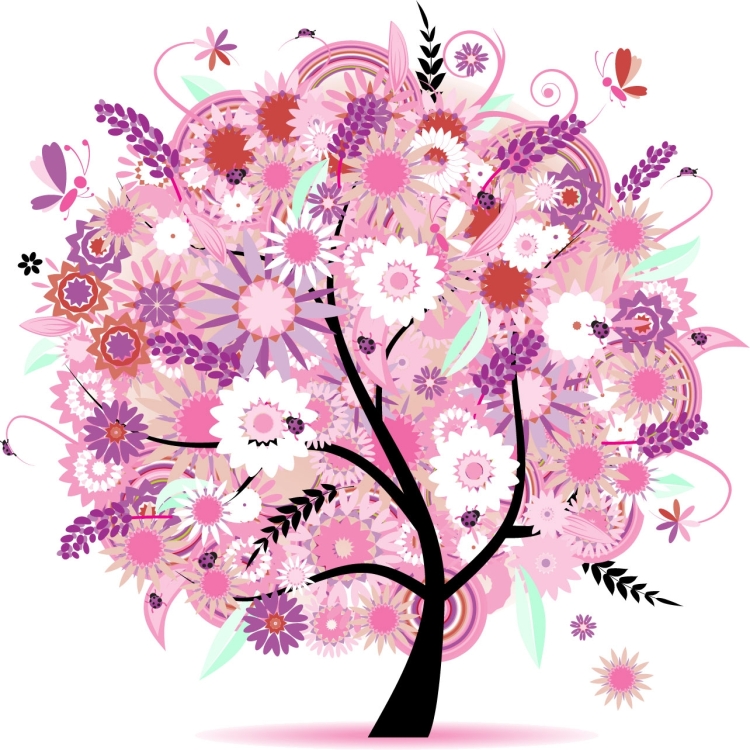 Домашний цветок дерево с розовыми цветами