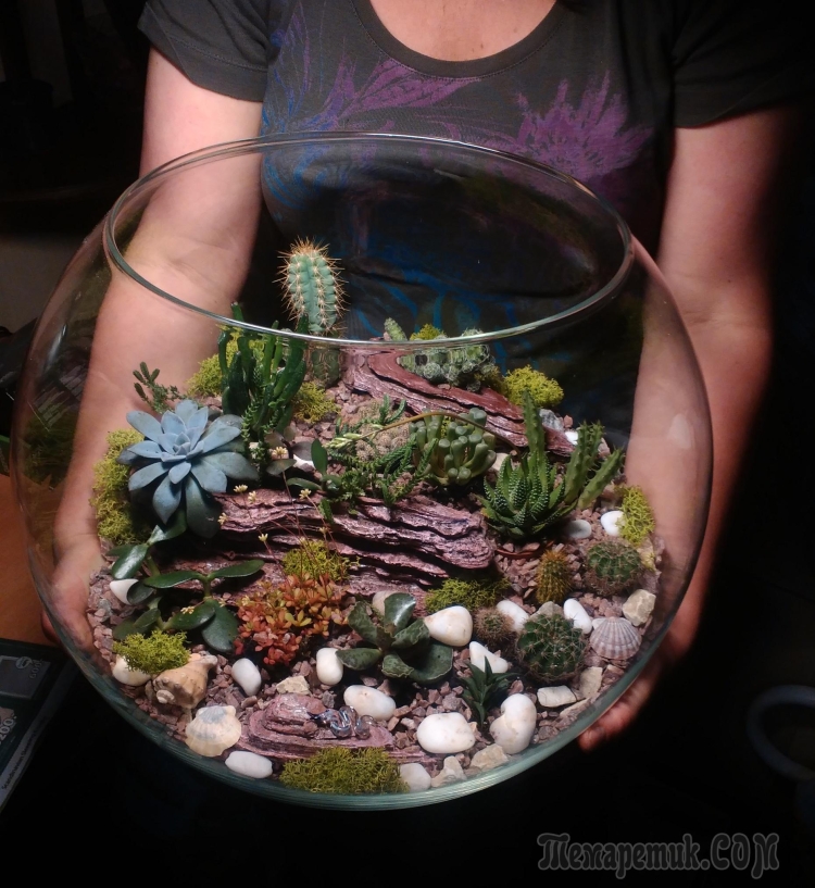 Как сажать аквариумные растения