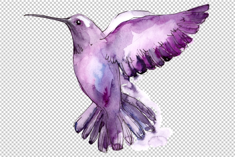 Фиолетовые птицы в природе