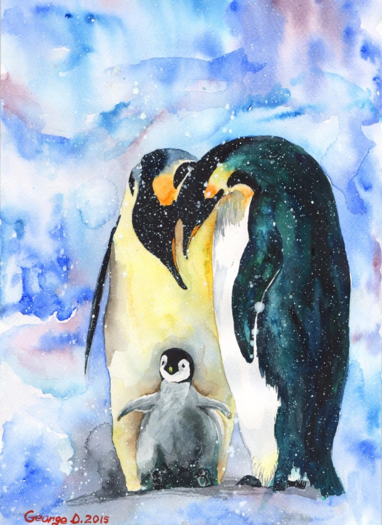 Пингвин полярная птица