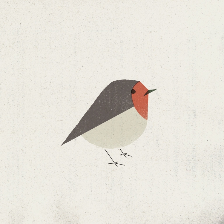 Птица минимализм