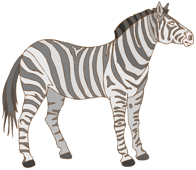 Мультяшная зебра