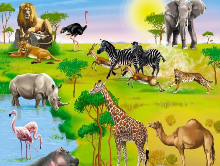 Животный и растительный мир Африки