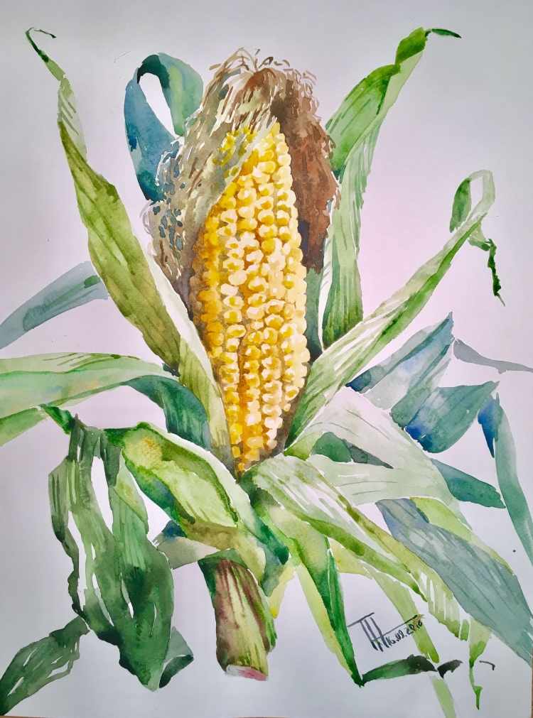 Мультяшная кукуруза