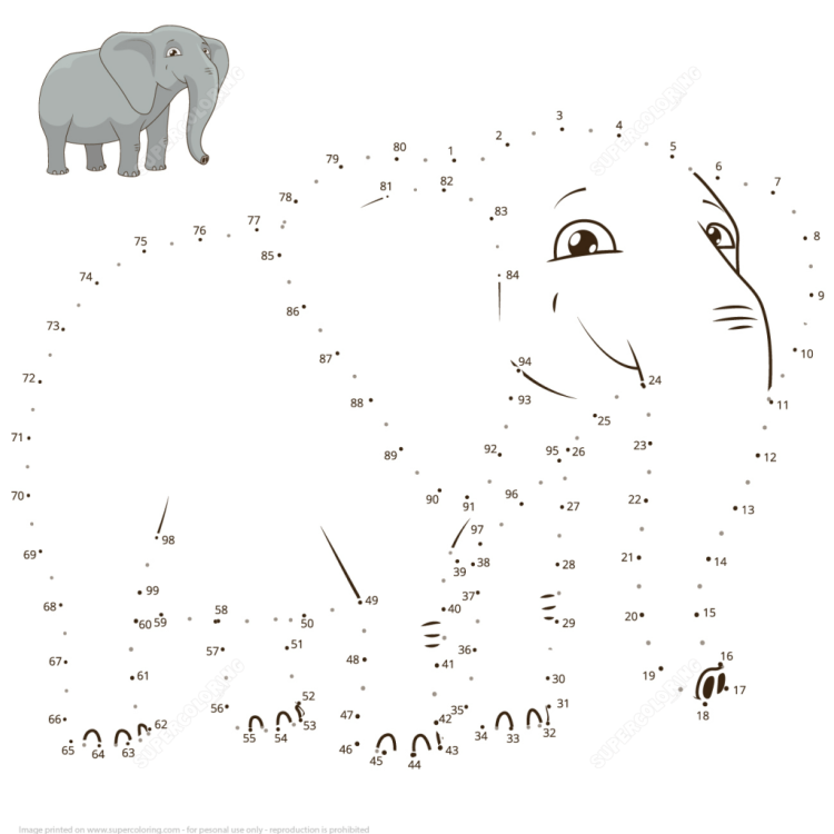 Рисунки животных по точкам
