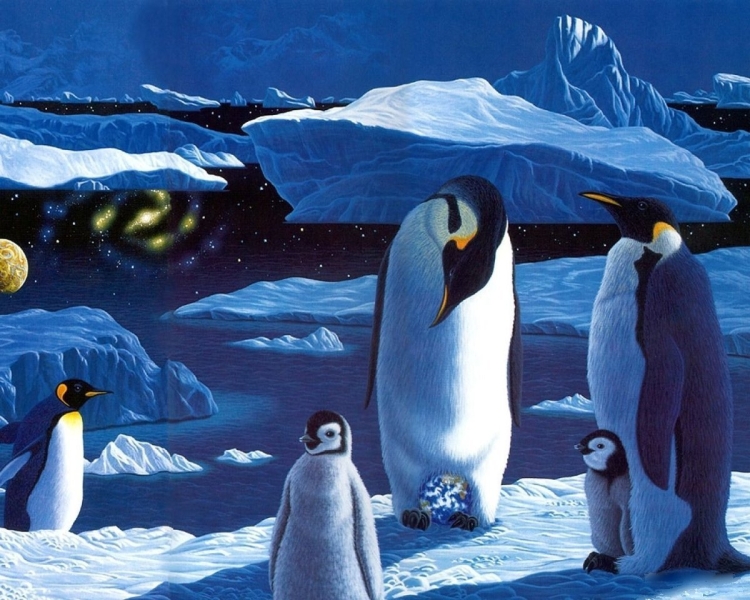 Животные живущие в антарктиде