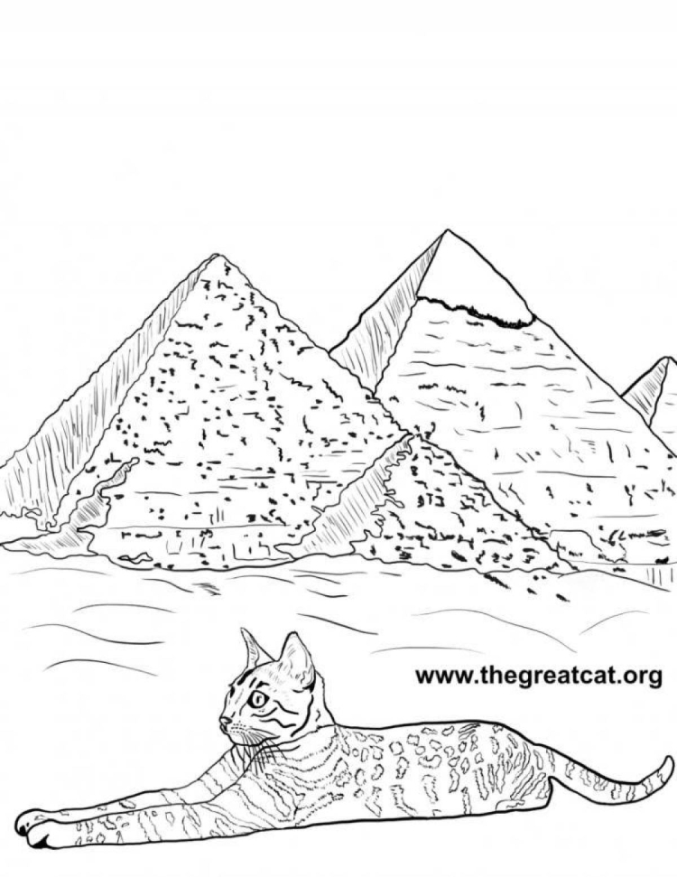 Раскраска Египетская кошка – Развивающие иллюстрации