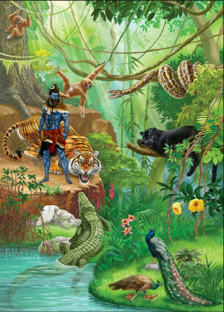 Животные обитающие в джунглях
