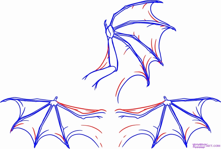 Мультяшные крылья дракона