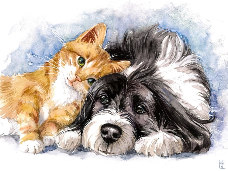 Рисунок котенок с собакой
