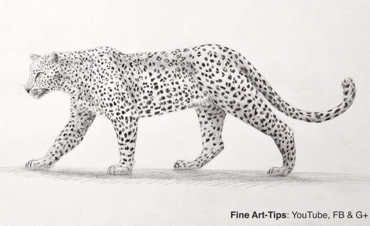 Самое быстрое животное леопард