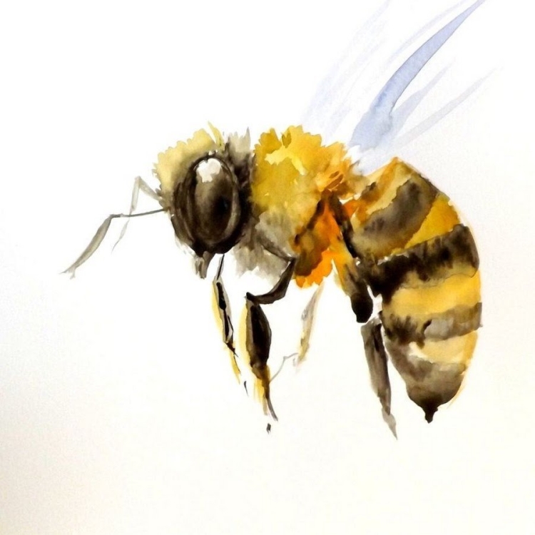 Мультяшный рисунок пчелы