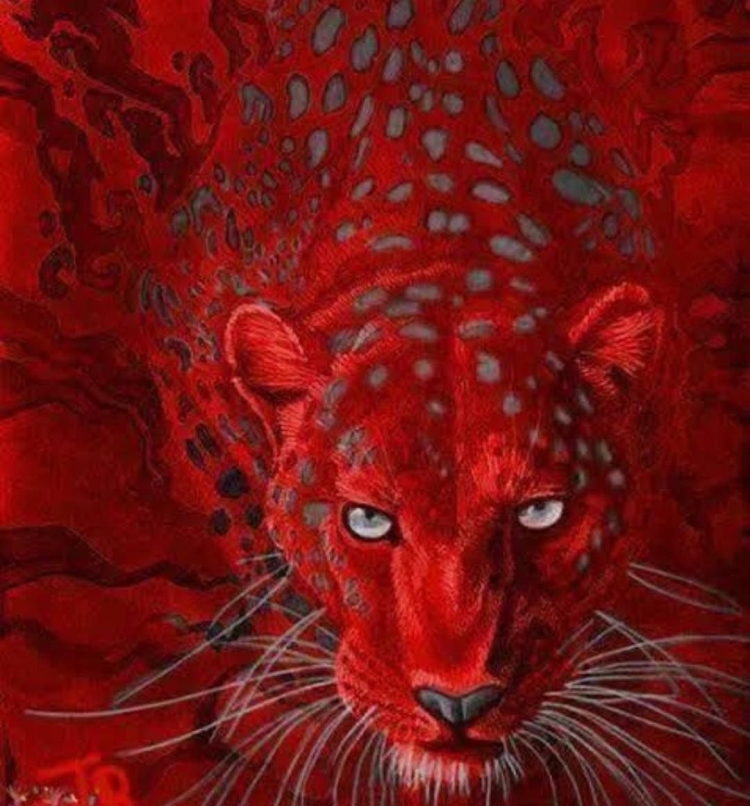 Животные с красным окрасом