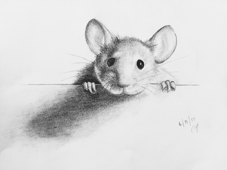 Мультяшная мышка