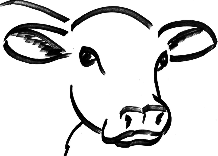 Мультяшная морда коровы