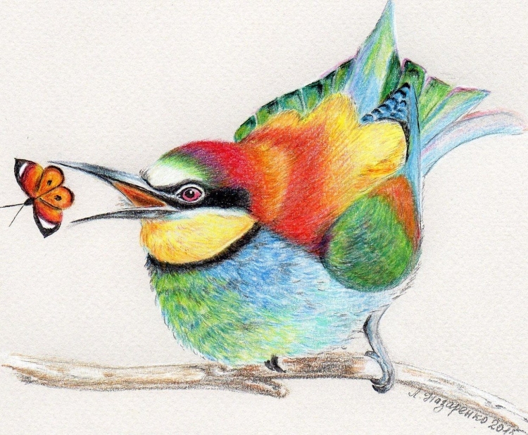 Легкие цветные рисунки животных для срисовки