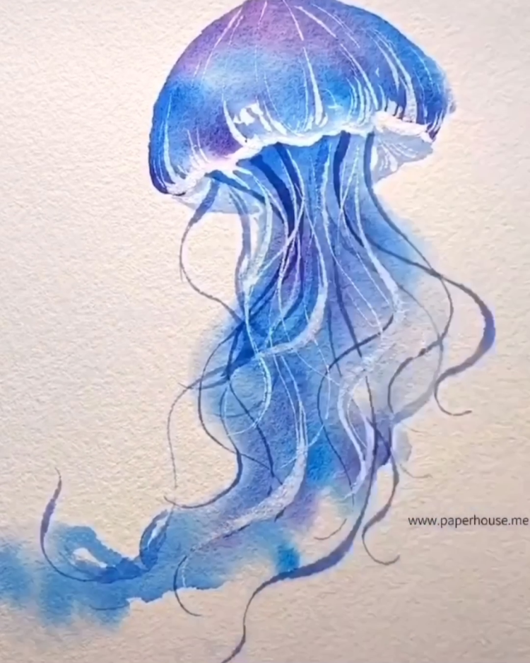 Обычная медуза черного моря