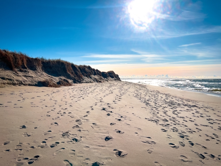 Балтийское море янтарный пляж