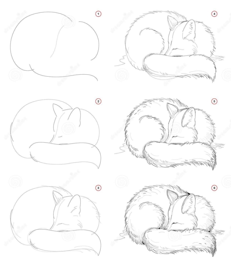Спящие животные рисунки