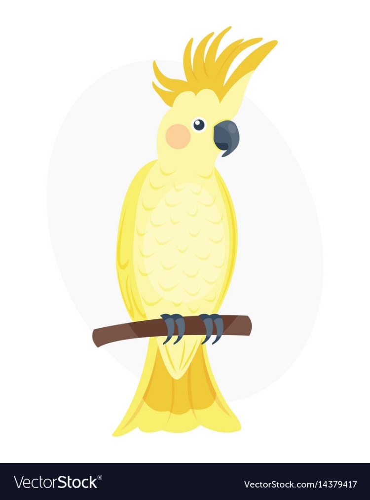 Желтый мультяшный попугай