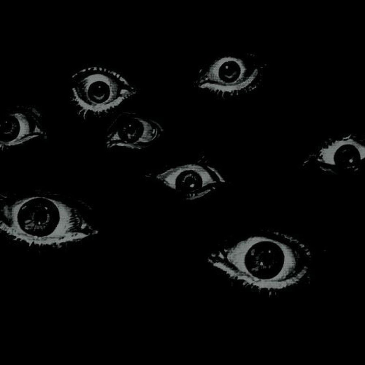 Глаза животных в темноте