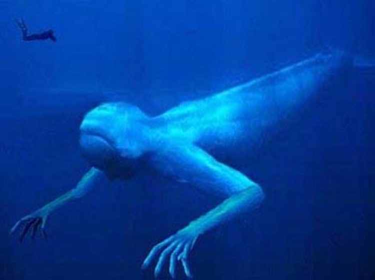 Страшные морские чудовища (60 фото)