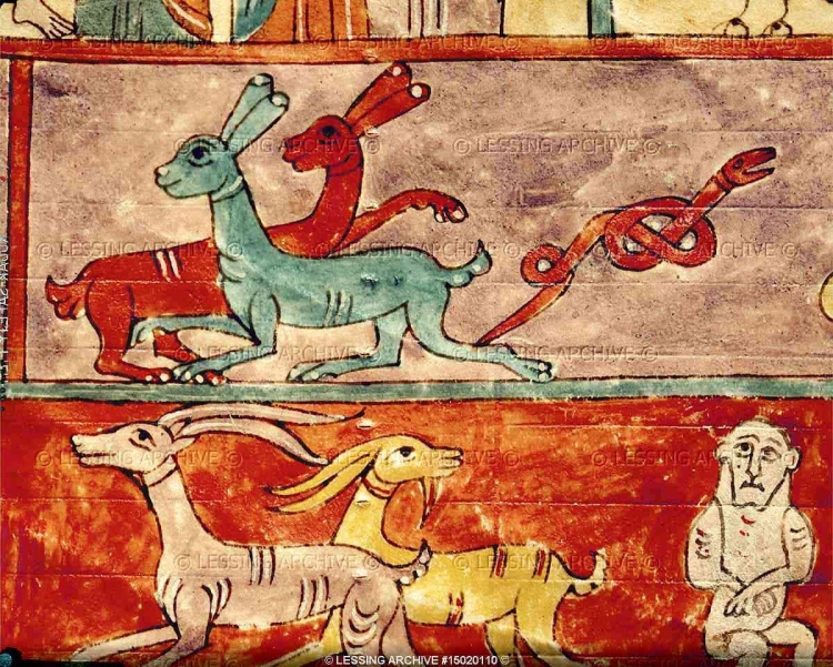 Животные средневековья