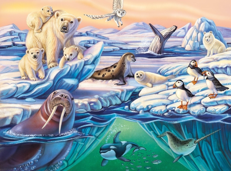 Животные обитающие в северном ледовитом океане