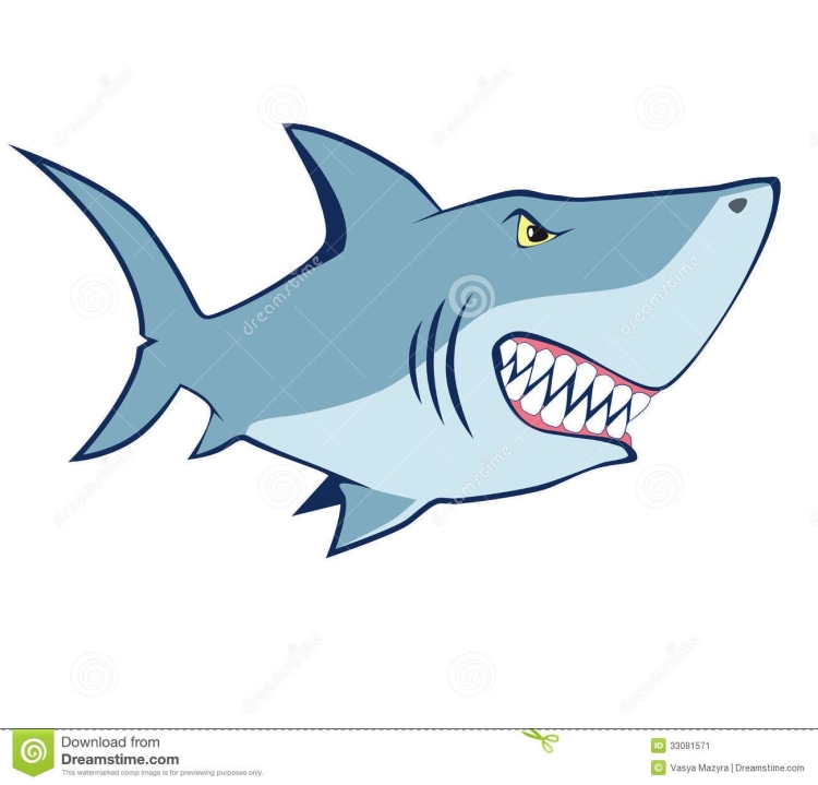 Акулы желтого моря