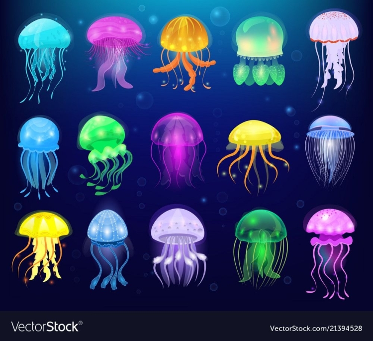 Маленькие медузы в черном море