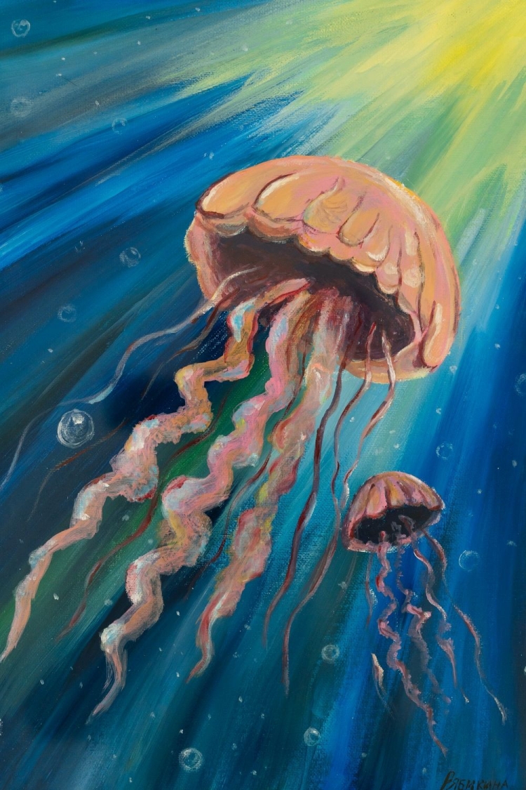 Маленькая плоская медуза в черном море