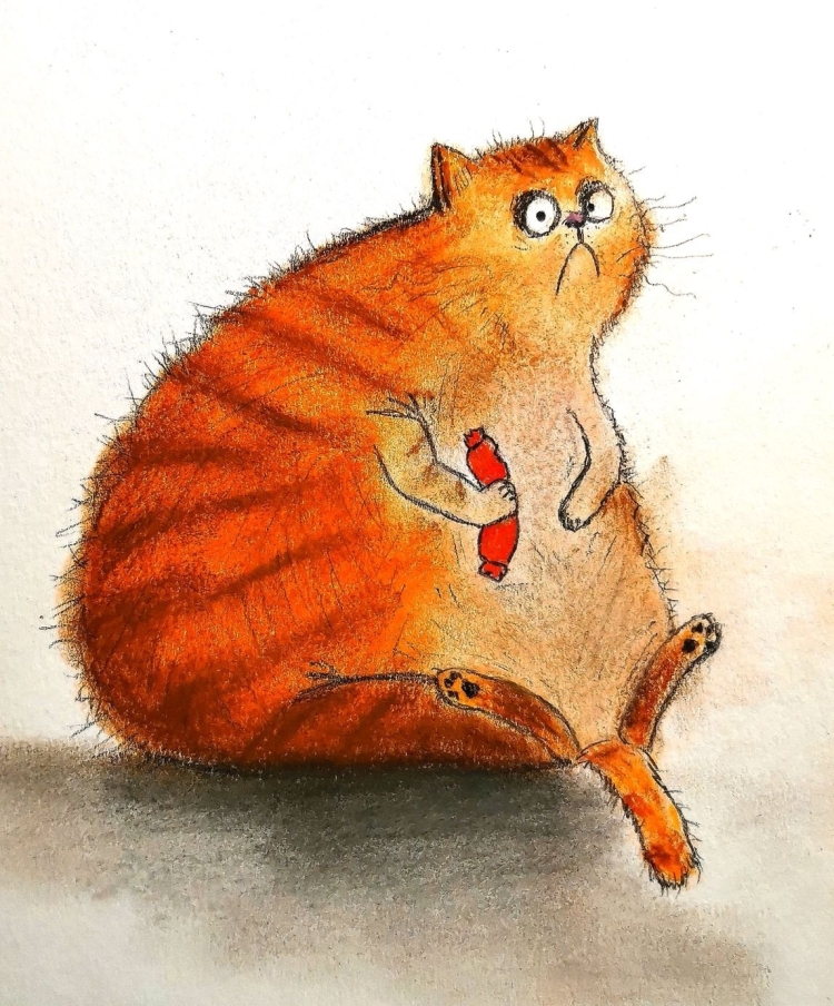 Толстый котик рисунок