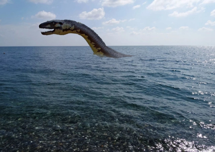 Рыба змея в черном море
