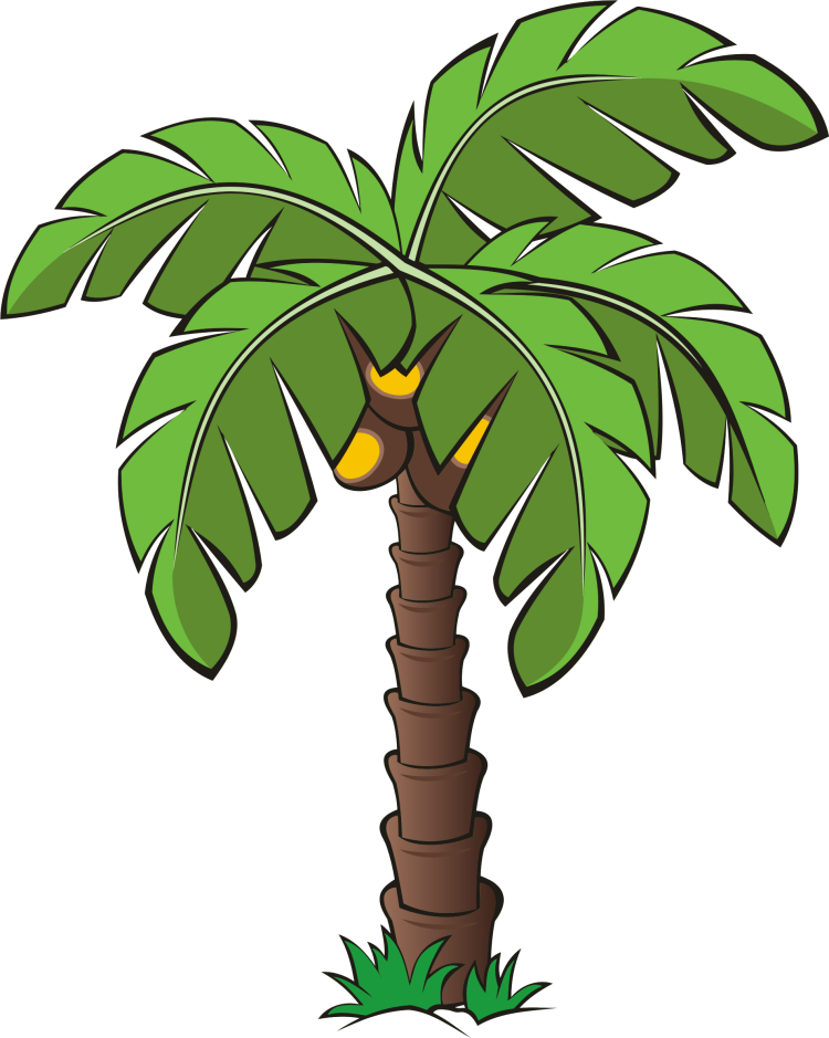 Мультяшный лист пальмы