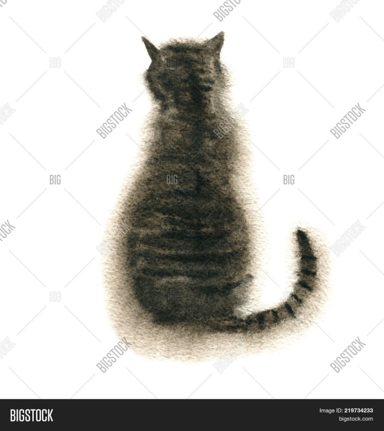 Сидящий кот спиной рисунок