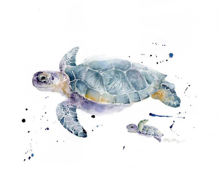 Плавающая черепаха в море