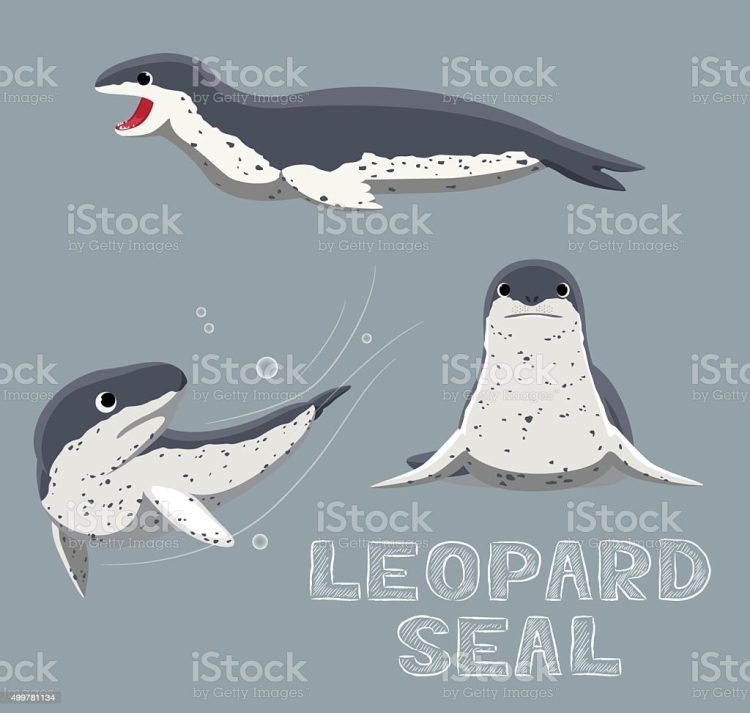 Мультяшный морской леопард