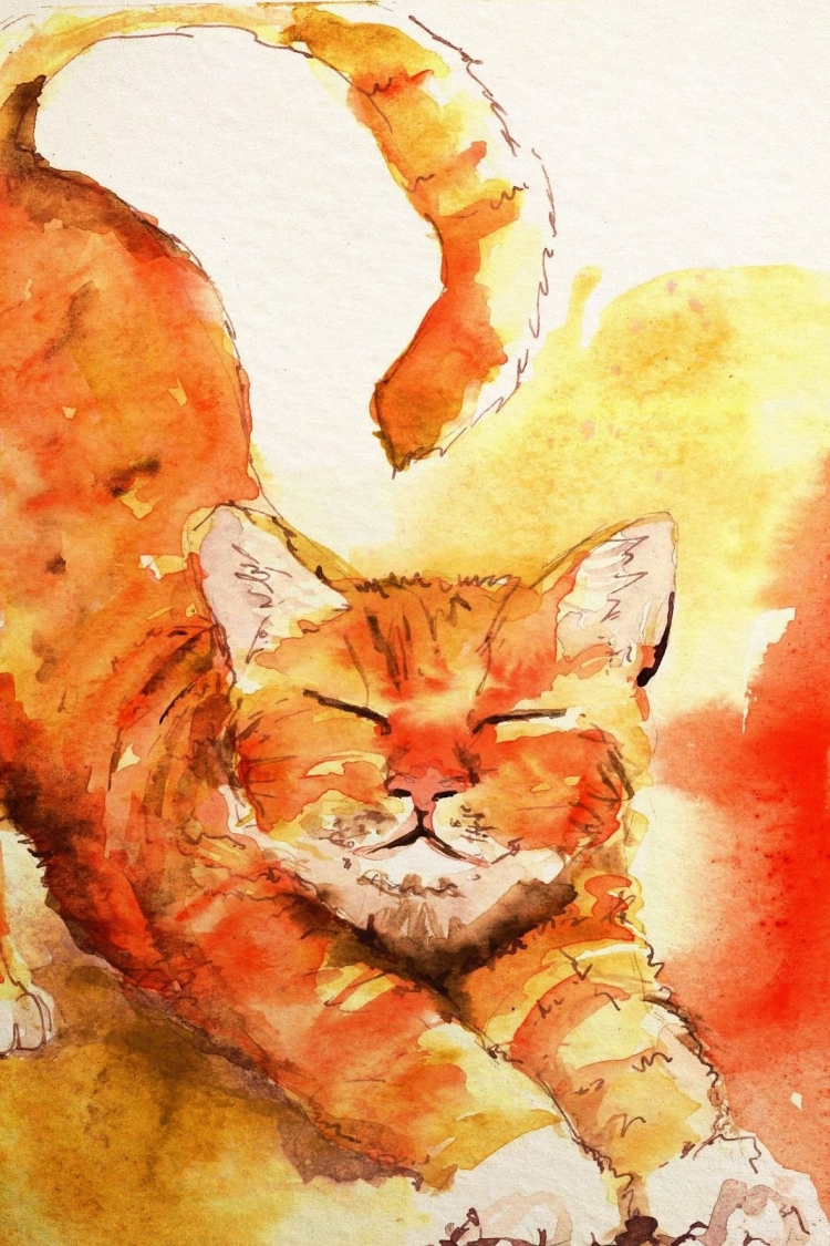 Оранжевый кот рисунок