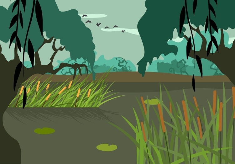 Мультяшное болото
