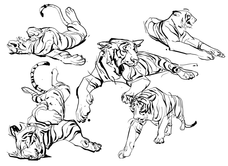 Животные тигры и львы