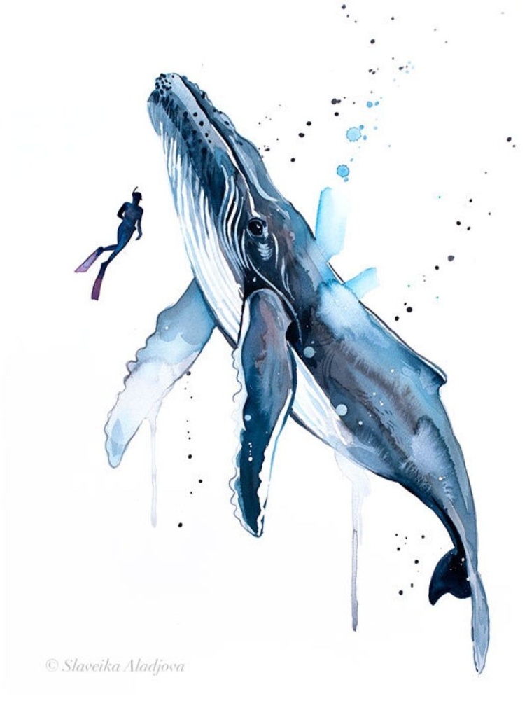 Морское животное синий кит