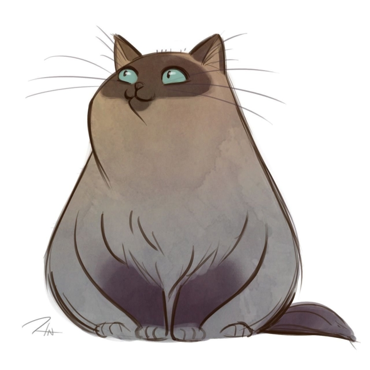 Милый толстый котик рисунок